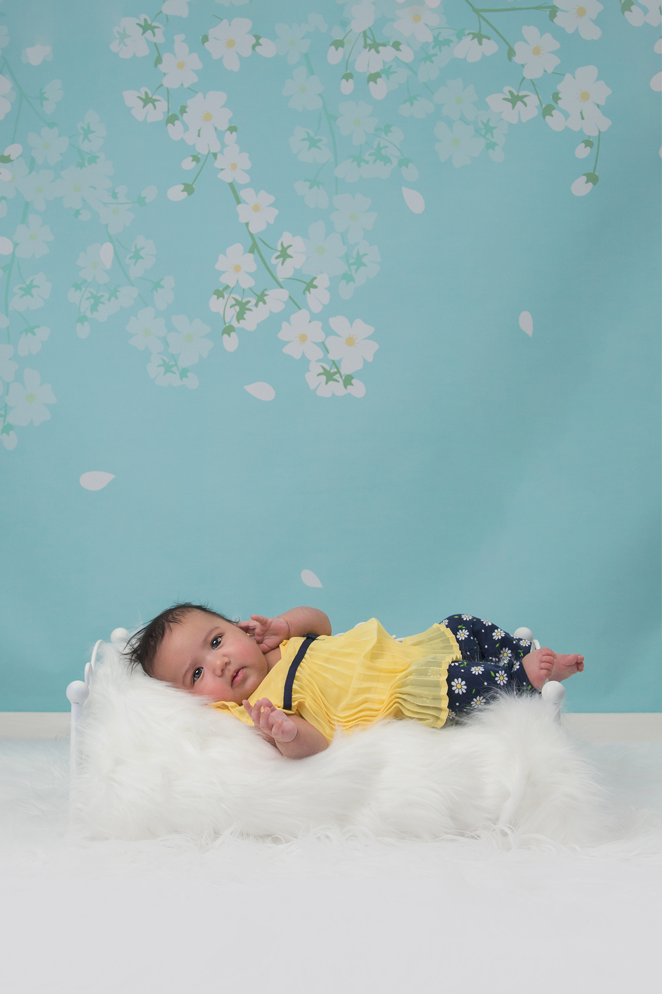 Sibling Session, Baby, Child, Photography, Session, Casi Ann Photography, studio, Mother's Day, Grandma, Milestone, brother, sister, school, preschool, 2 month, white, flowers, ingleside, illinois, portrait, kids, Secret, Surprise, For Mom, 2 years, Secret Mother's Day Session