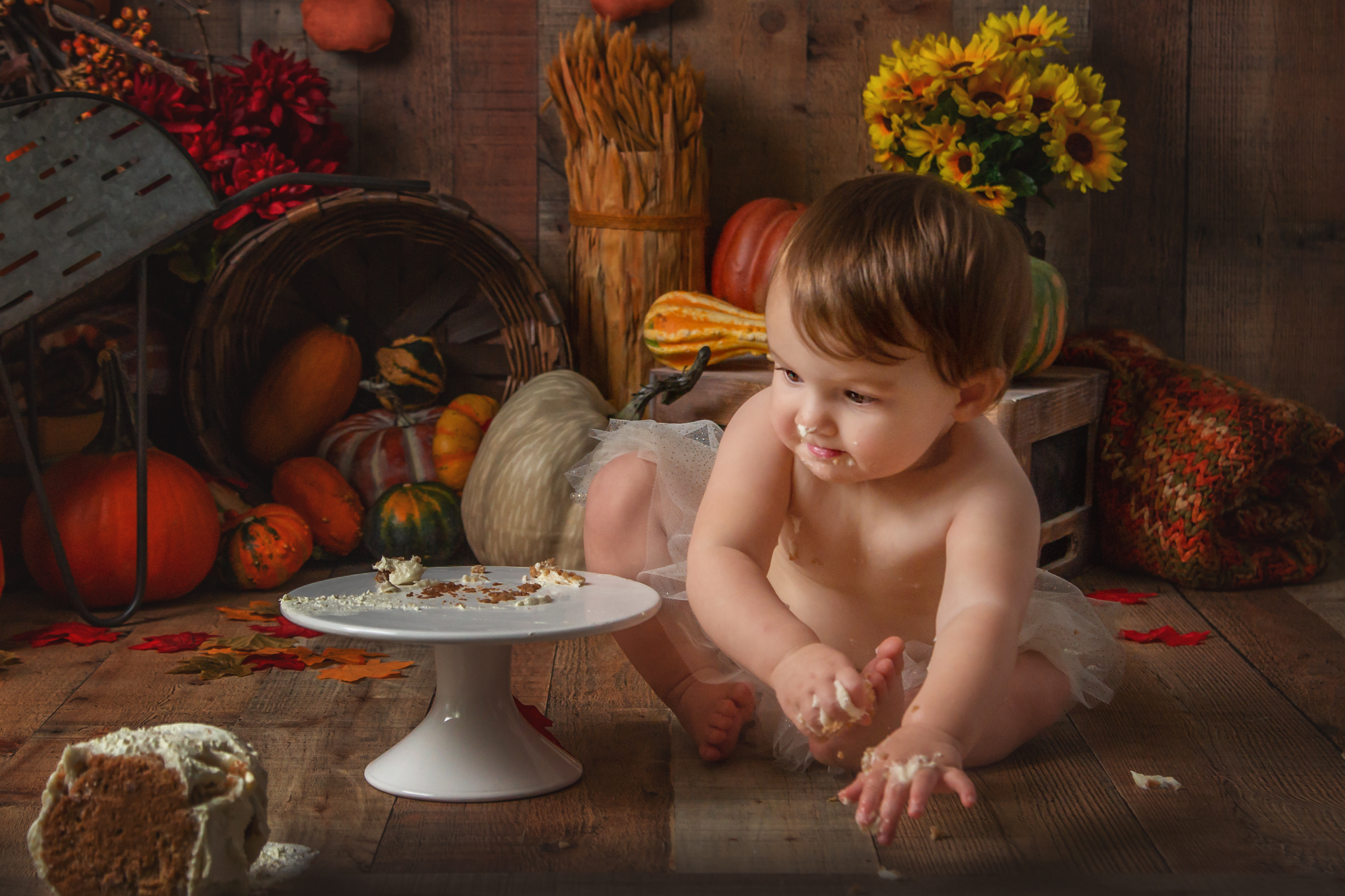 Birthday Cake Smash Session, sisters, siblings, girls, brother, birthday, Studio Sitter Session, Watch Me Grow, Baby, Child, Photography, Session, Casi Ann Photography, studio, 12 month, milestone, sitter, 1 year, tutu, vines, pumpkins, Ingleside, Machesney Park, Illinois, portrait, kids