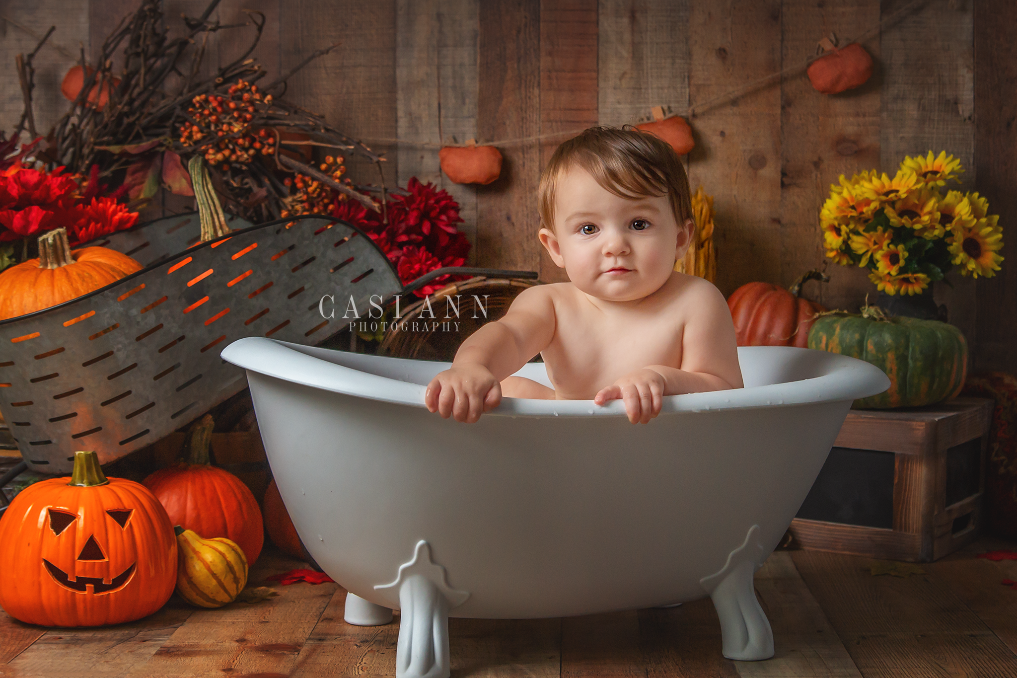 Birthday Cake Smash Session, sisters, siblings, girls, brother, birthday, Studio Sitter Session, Watch Me Grow, Baby, Child, Photography, Session, Casi Ann Photography, studio, 12 month, milestone, sitter, 1 year, tutu, vines, pumpkins, Ingleside, Machesney Park, Illinois, portrait, kids, bath, splash, smash and splash