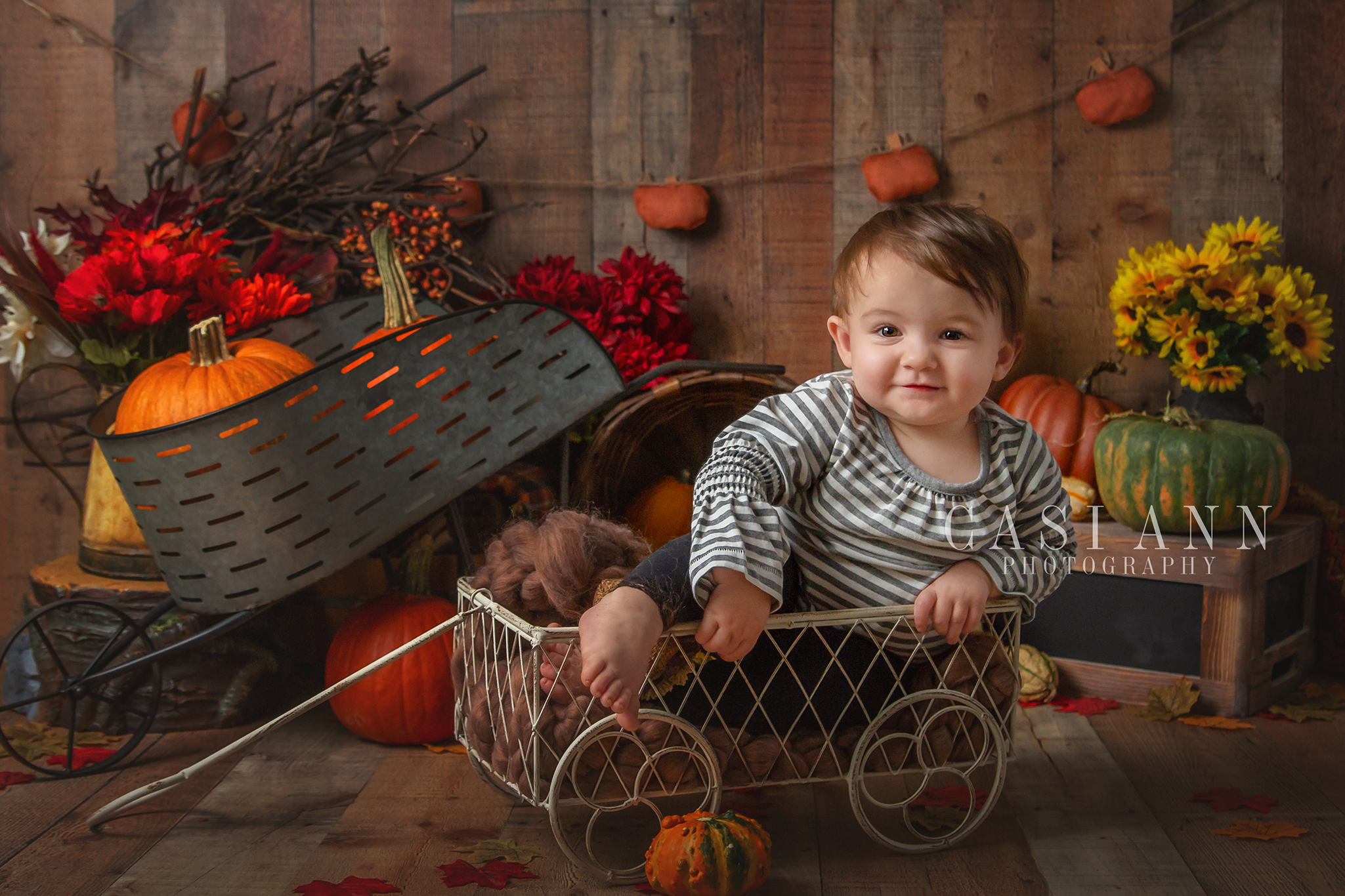 Birthday Cake Smash Session, sisters, siblings, girls, brother, birthday, Studio Sitter Session, Watch Me Grow, Baby, Child, Photography, Session, Casi Ann Photography, studio, 12 month, milestone, sitter, 1 year, tutu, vines, pumpkins, Ingleside, Machesney Park, Illinois, portrait, kids, bath, splash, smash and splash