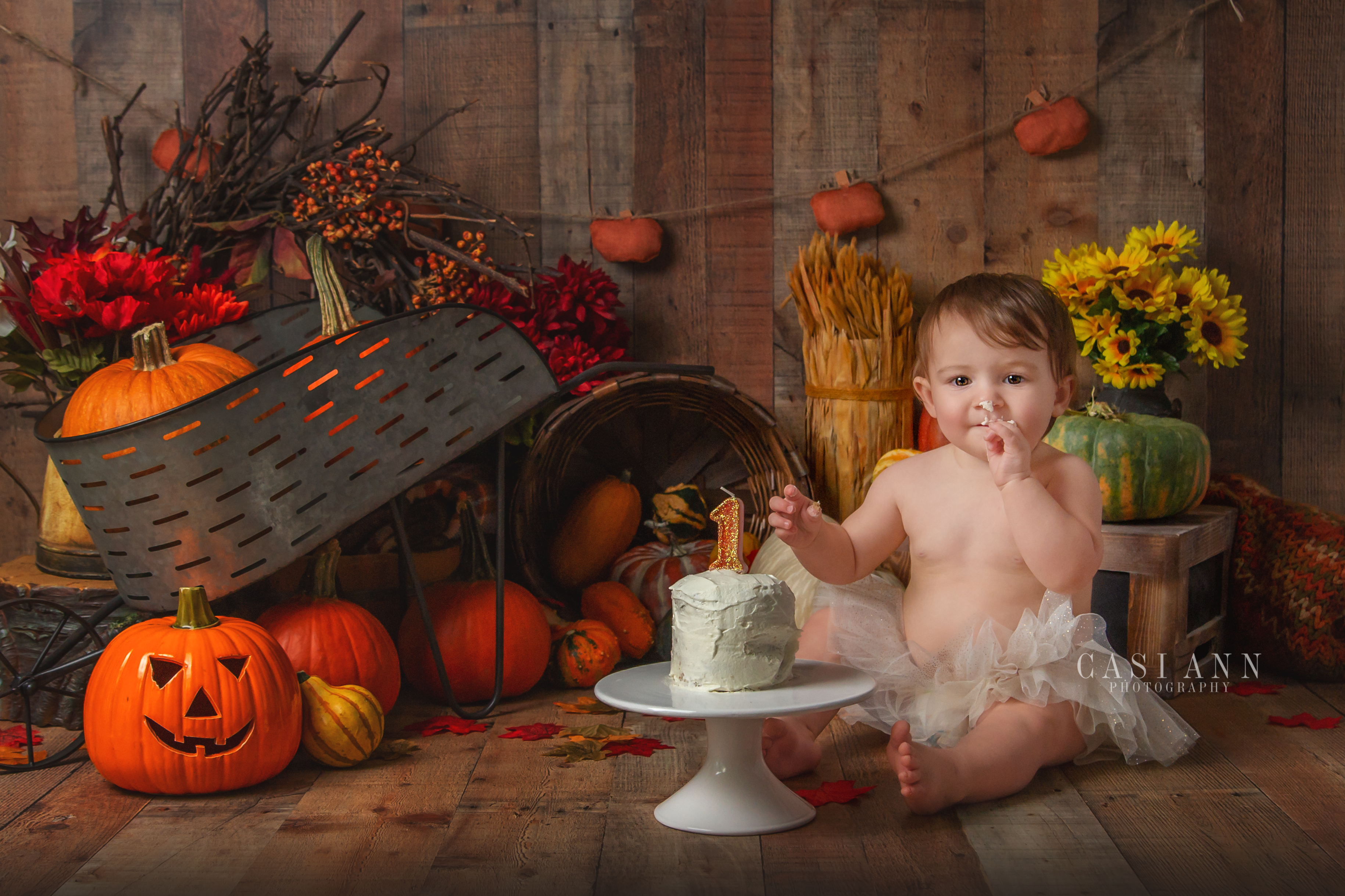 Birthday Cake Smash Session, sisters, siblings, girls, brother, birthday, Studio Sitter Session, Watch Me Grow, Baby, Child, Photography, Session, Casi Ann Photography, studio, 12 month, milestone, sitter, 1 year, tutu, vines, pumpkins, Ingleside, Machesney Park, Illinois, portrait, kids, bath, splash, smash and splash