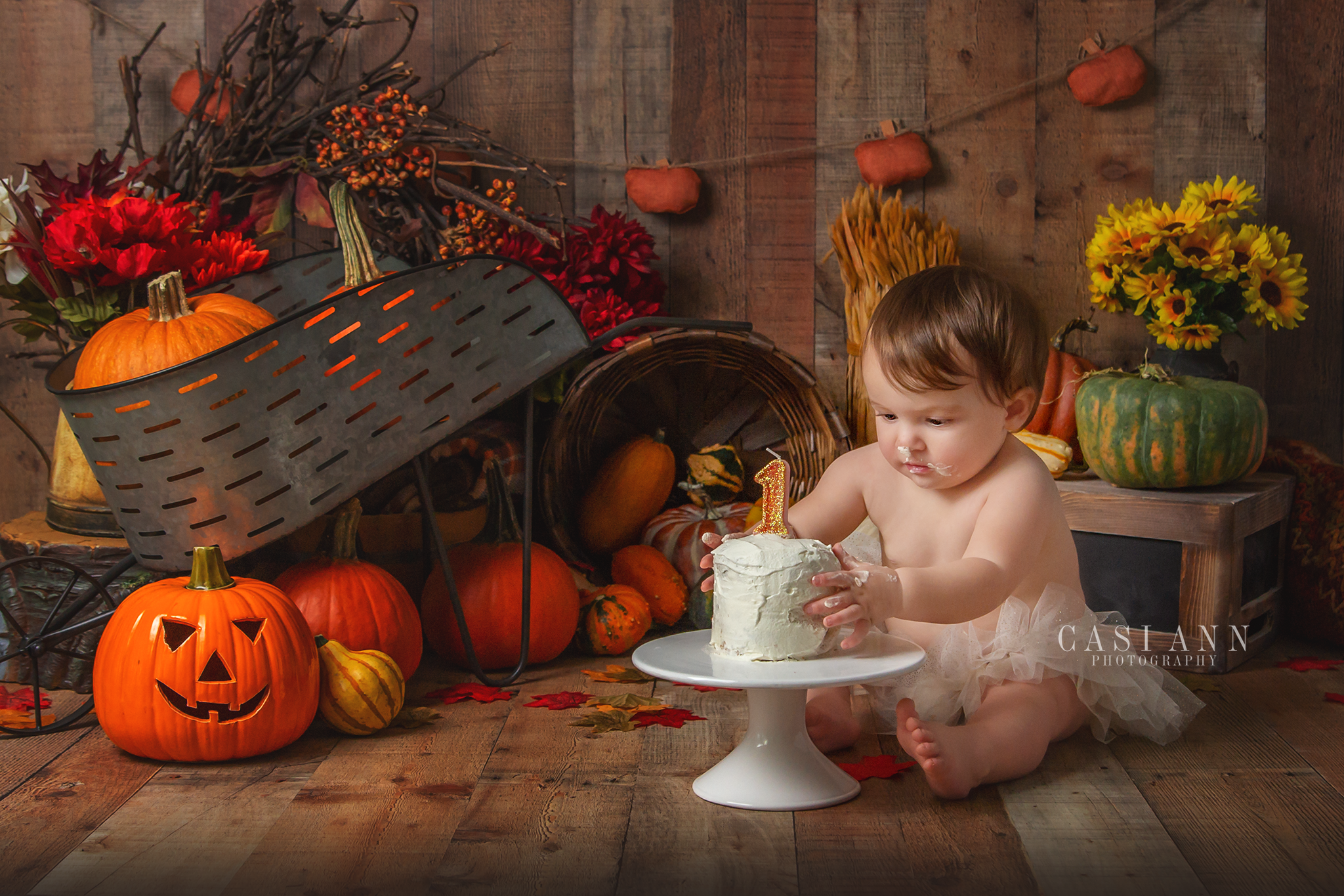 Birthday Cake Smash Session, sisters, siblings, girls, brother, birthday, Studio Sitter Session, Watch Me Grow, Baby, Child, Photography, Session, Casi Ann Photography, studio, 12 month, milestone, sitter, 1 year, tutu, vines, pumpkins, Ingleside, Machesney Park, Illinois, portrait, kids, bath, splash, smash and splash