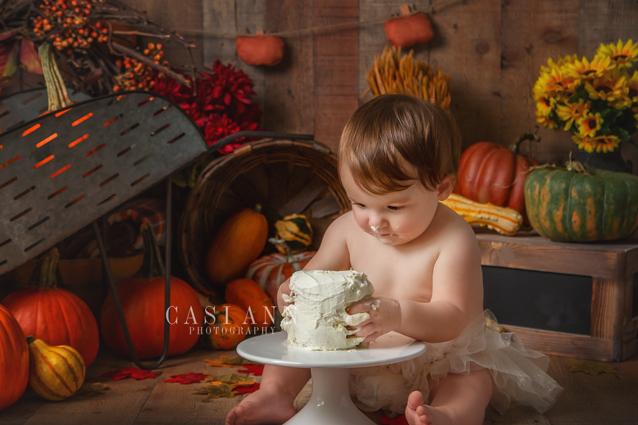 Birthday Cake Smash Session, sisters, siblings, girls, brother, birthday, Studio Sitter Session, Watch Me Grow, Baby, Child, Photography, Session, Casi Ann Photography, studio, 12 month, milestone, sitter, 1 year, tutu, vines, pumpkins, Ingleside, Machesney Park, Illinois, portrait, kids, bath, splash, smash and splash