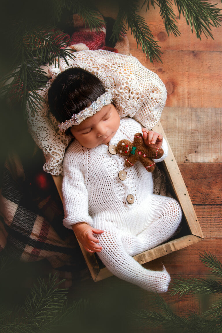 Newborn Photoshoot | IL Photographer | Baby Photography Studio | Illinois